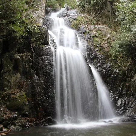Isola Bella - Vintage *