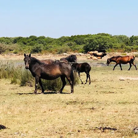 Isola Bella - Vintage Lejlighed Mogoro