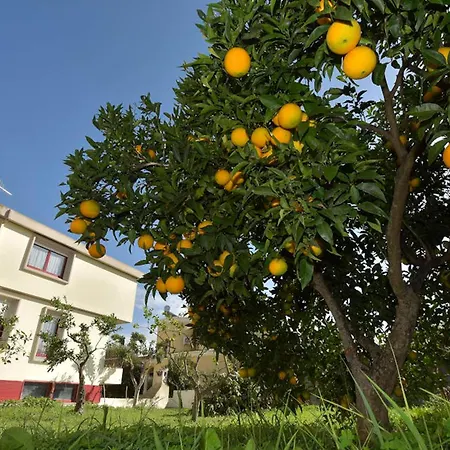 Isola Bella - Vintage Lejlighed Mogoro