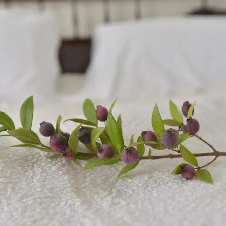 Isola Bella - Vintage Mogoro