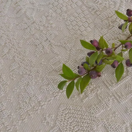 Isola Bella - Vintage Lejlighed Mogoro